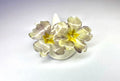 Cercei din primule (Primula vulgaris)