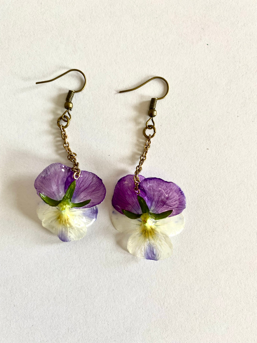 Cercei din panselute (Viola × wittrockiana)