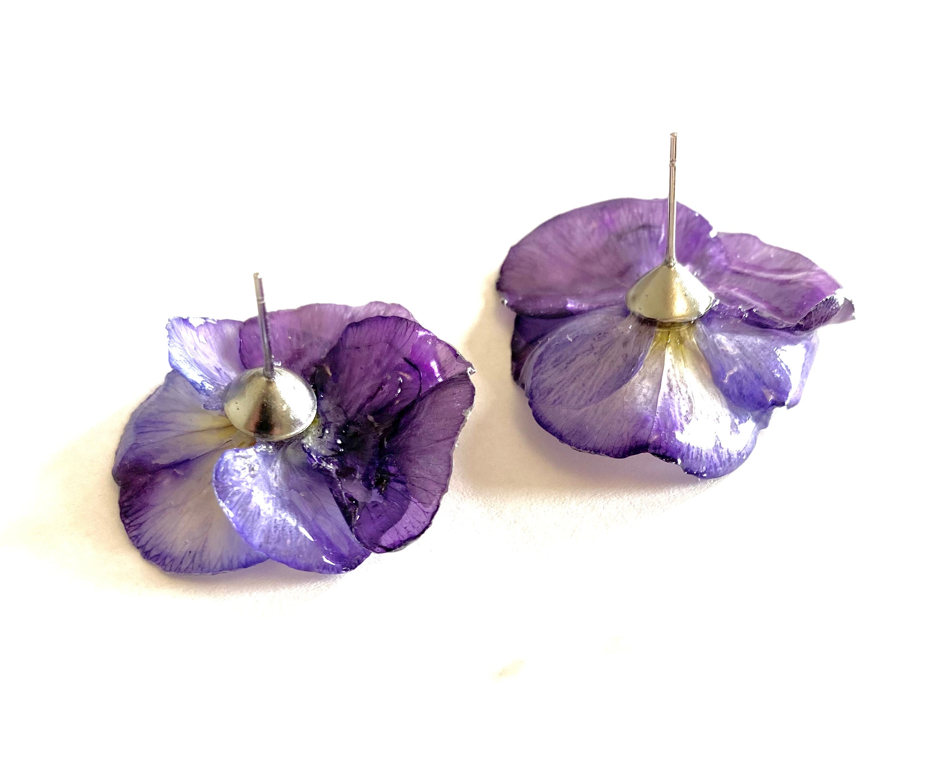 Cercei din panselute (Viola × wittrockiana)