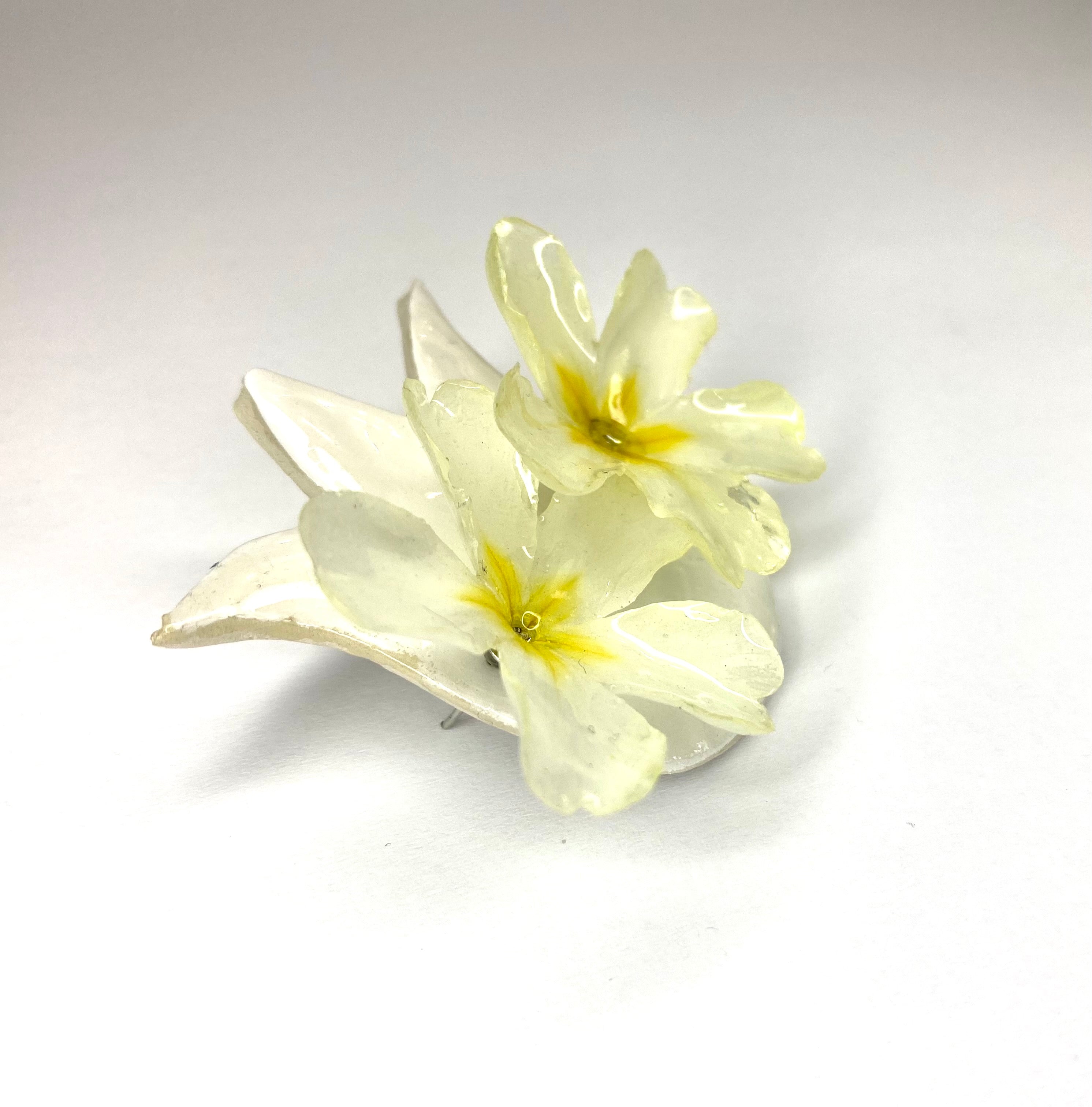 Cercei din primule (Primula vulgaris)