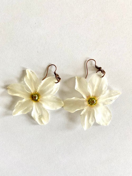 Cercei din narcise (Narcissus 'Actaea')
