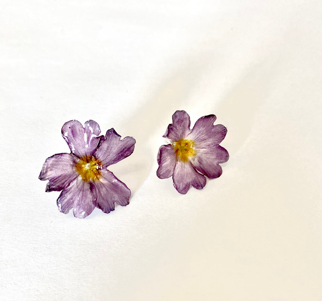 Cercei din primule (Primula vulgaris)