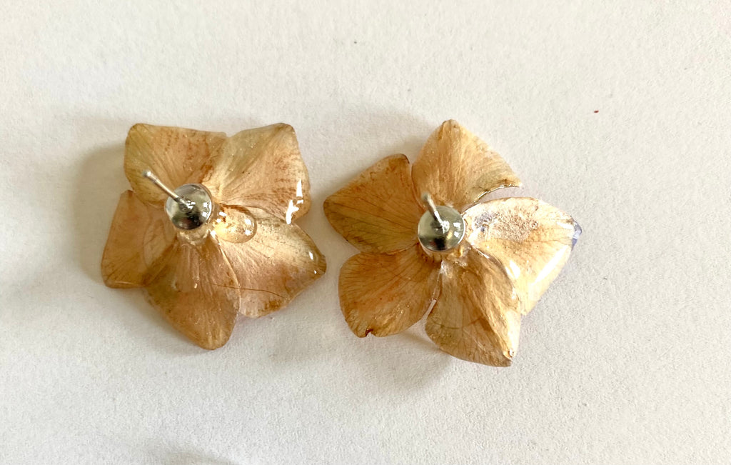 Cercei din saschiu (Vinca minor)