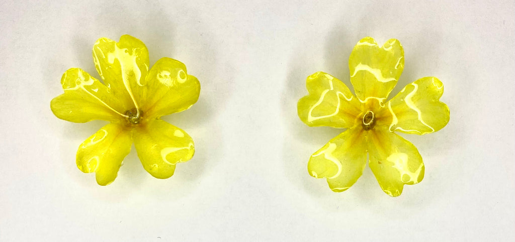 Cercei din primule (Primula vulgaris)