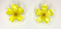 Cercei din primule (Primula vulgaris)