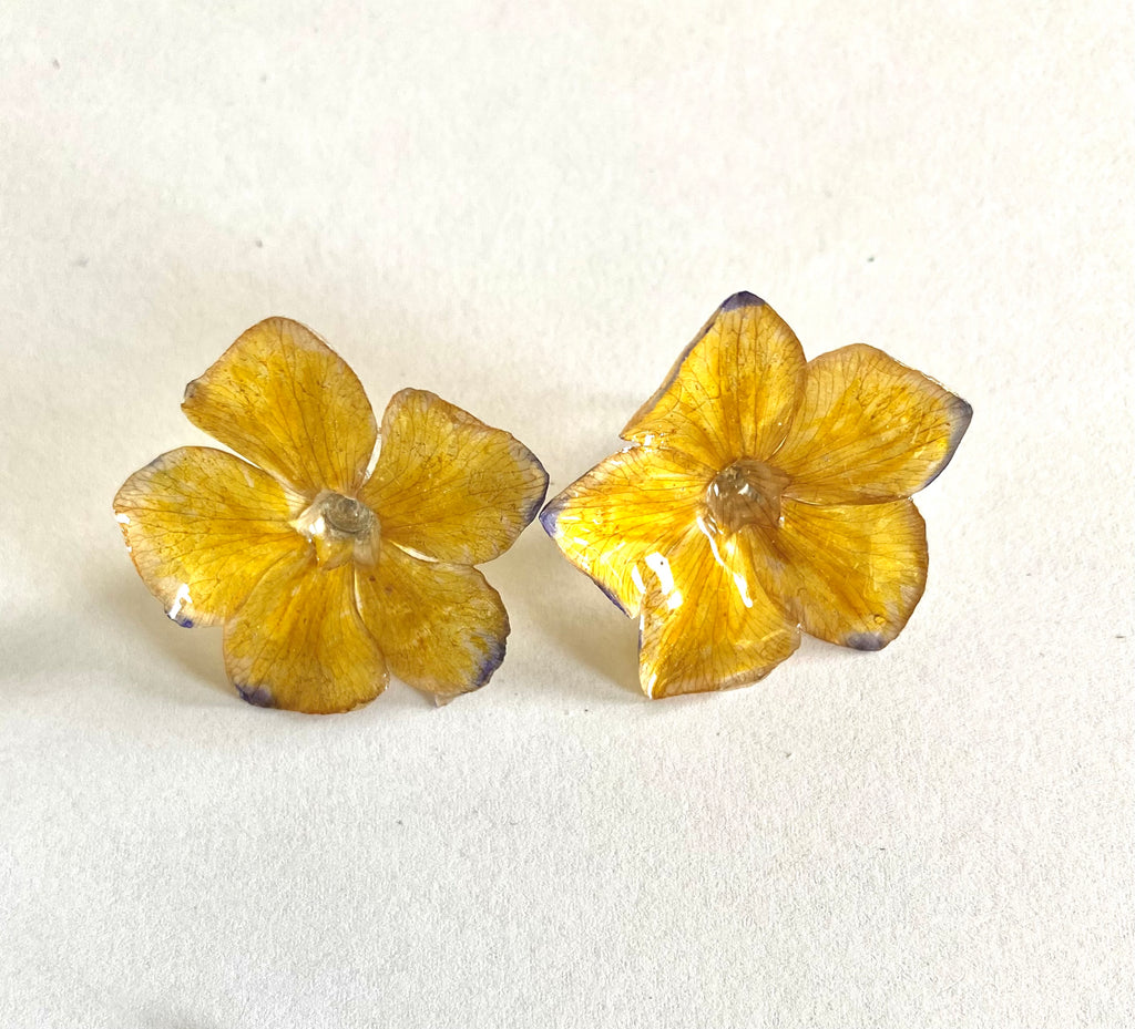Cercei din saschiu galben (Vinca minor)