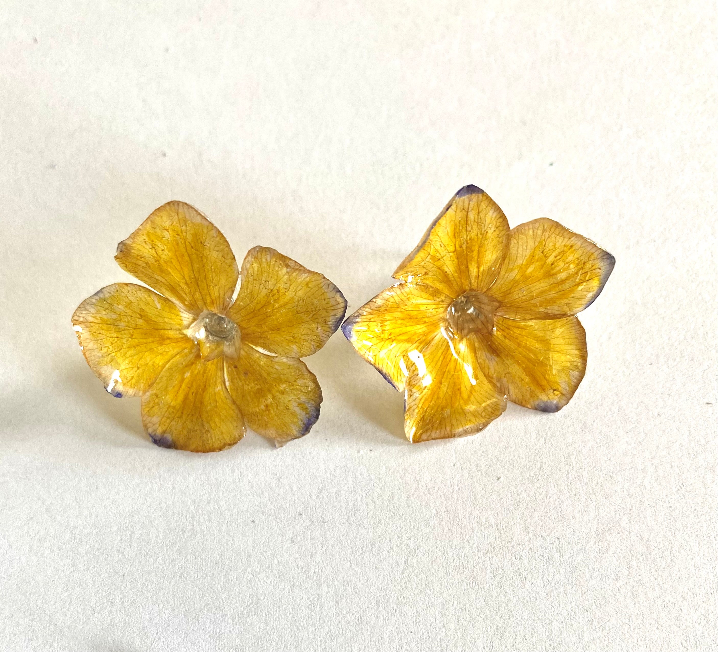 Cercei din saschiu galben (Vinca minor)