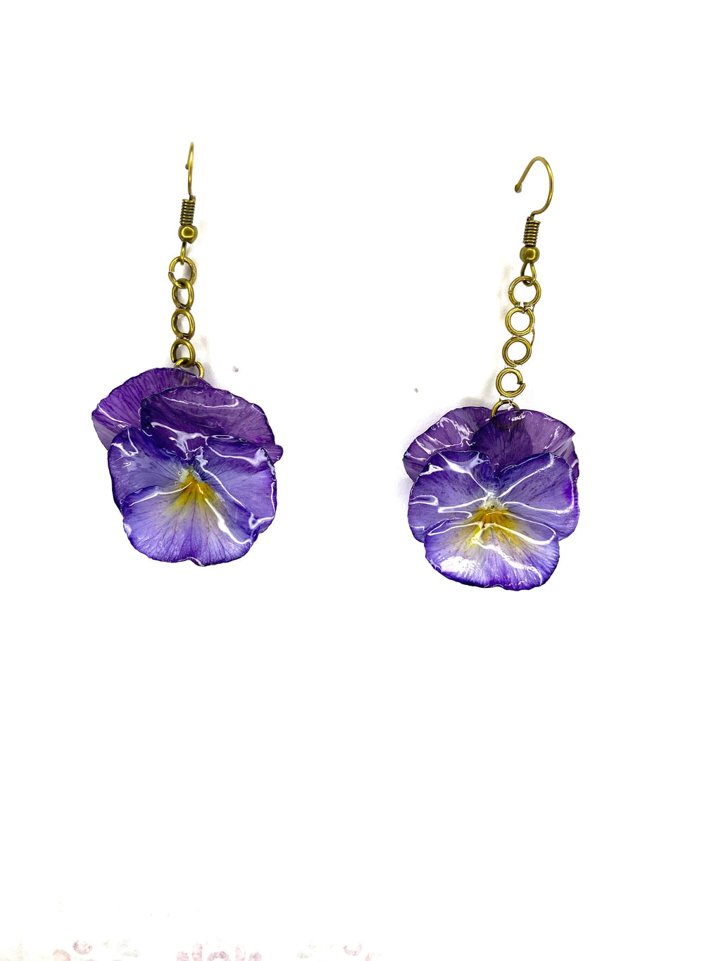 Cercei din panselute (Viola × wittrockiana)