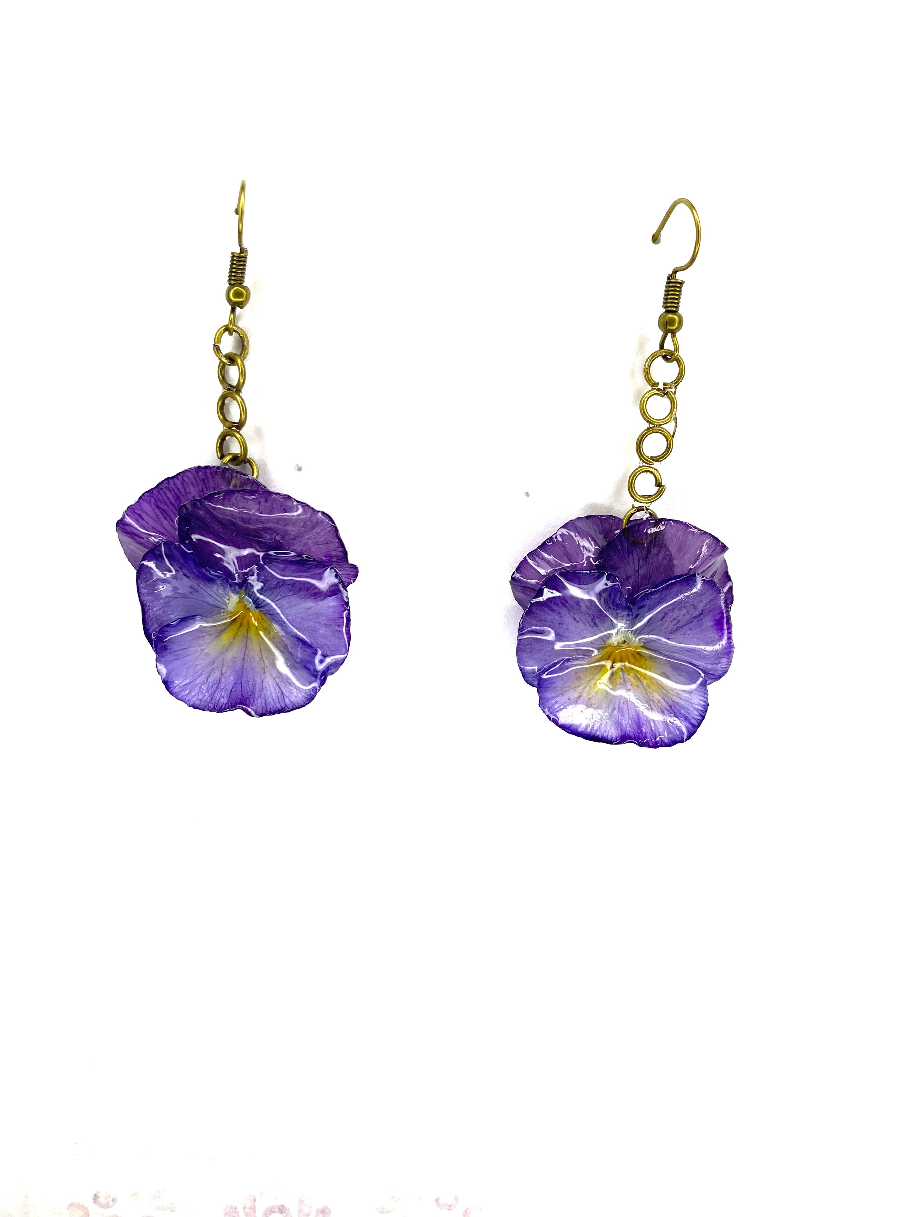 Cercei din panselute (Viola × wittrockiana)