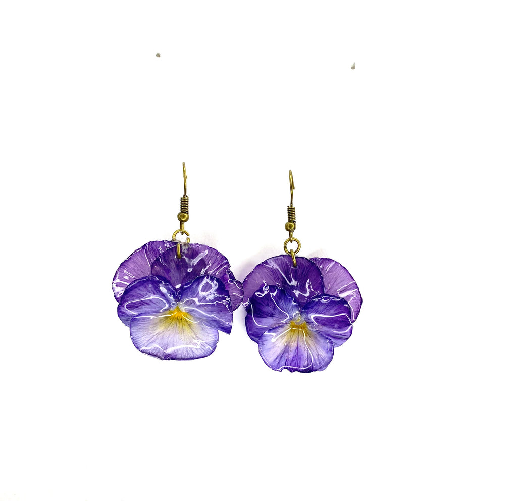 Cercei din panselute (Viola × wittrockiana)