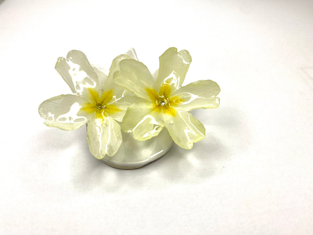 Cercei din primule (Primula vulgaris)