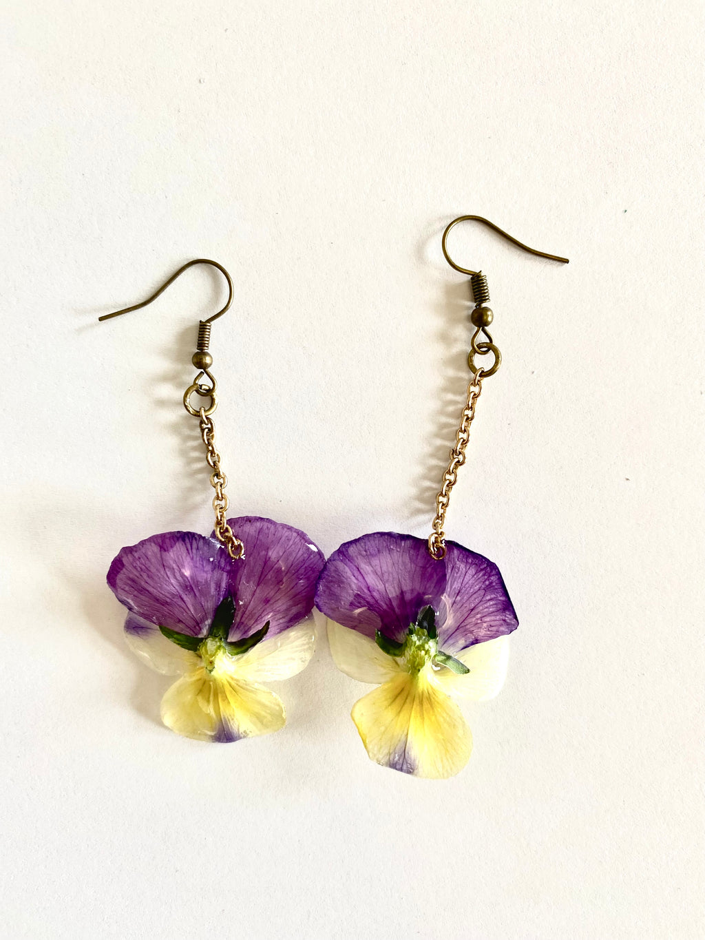 Cercei din panselute (Viola × wittrockiana)
