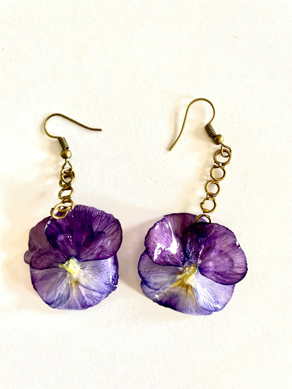 Cercei din panselute (Viola × wittrockiana)