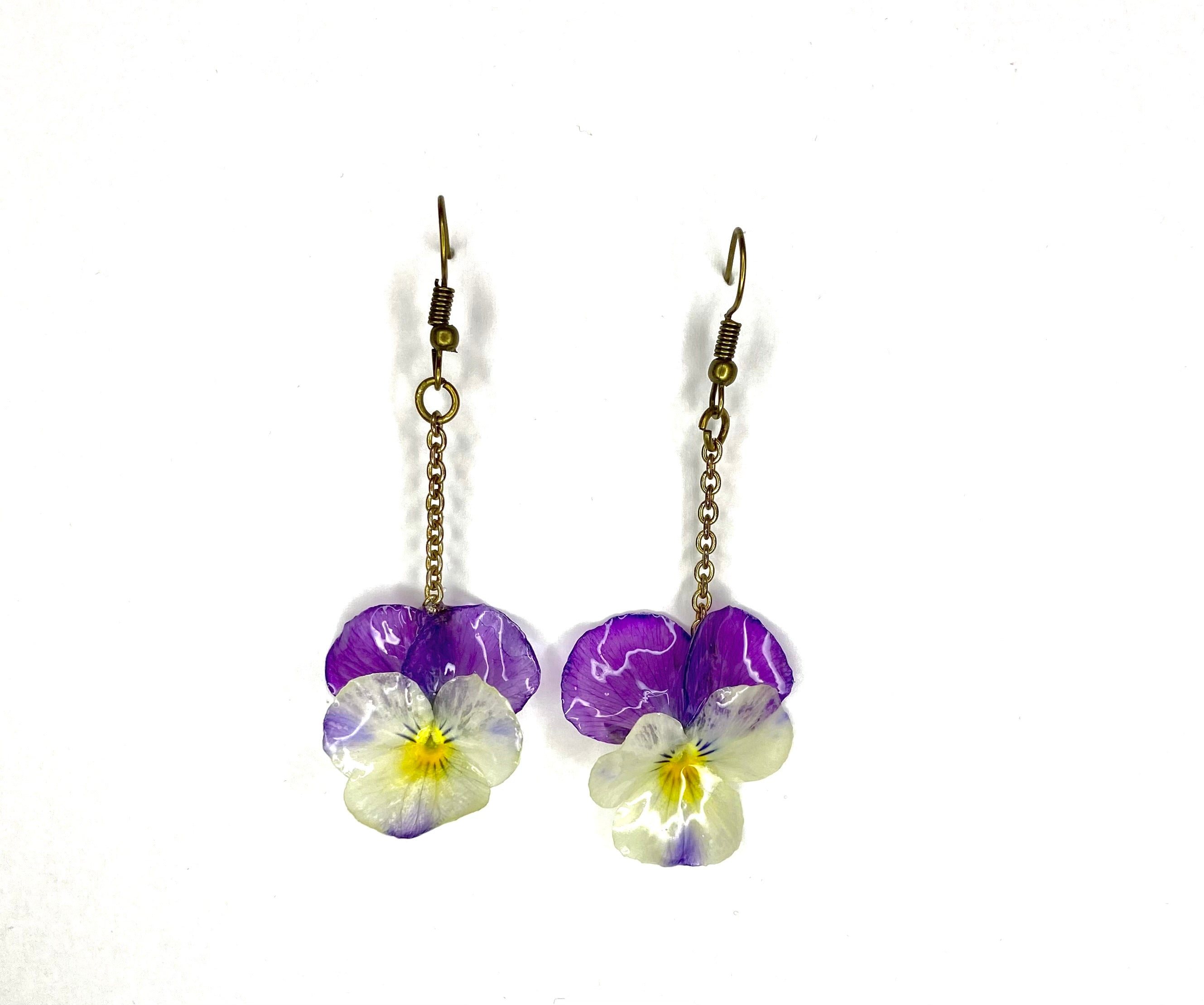 Cercei din panselute (Viola × wittrockiana)