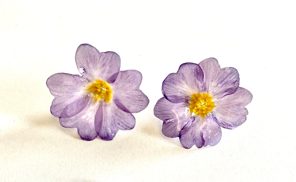 Cercei din primule (Primula vulgaris)