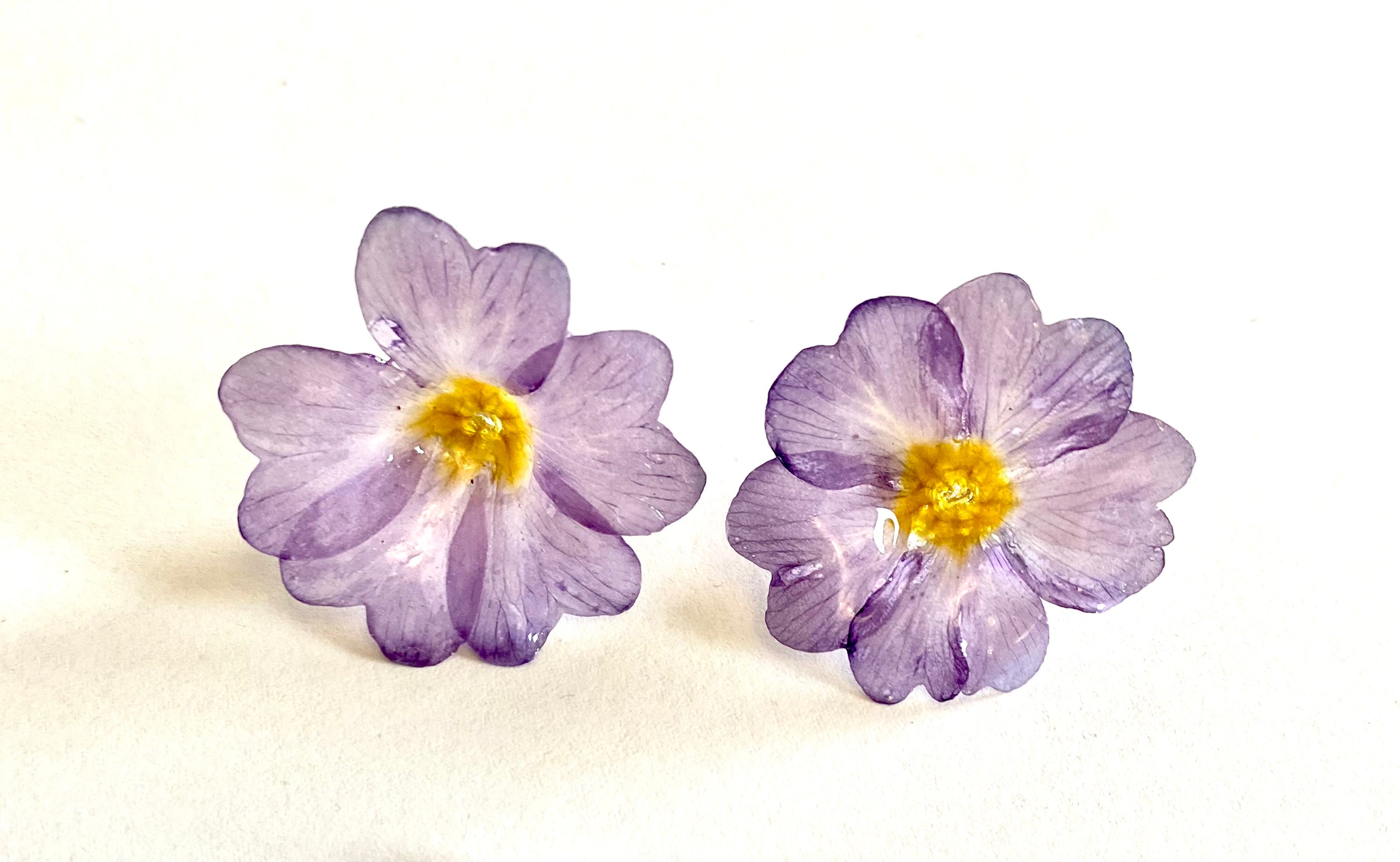 Cercei din primule (Primula vulgaris)