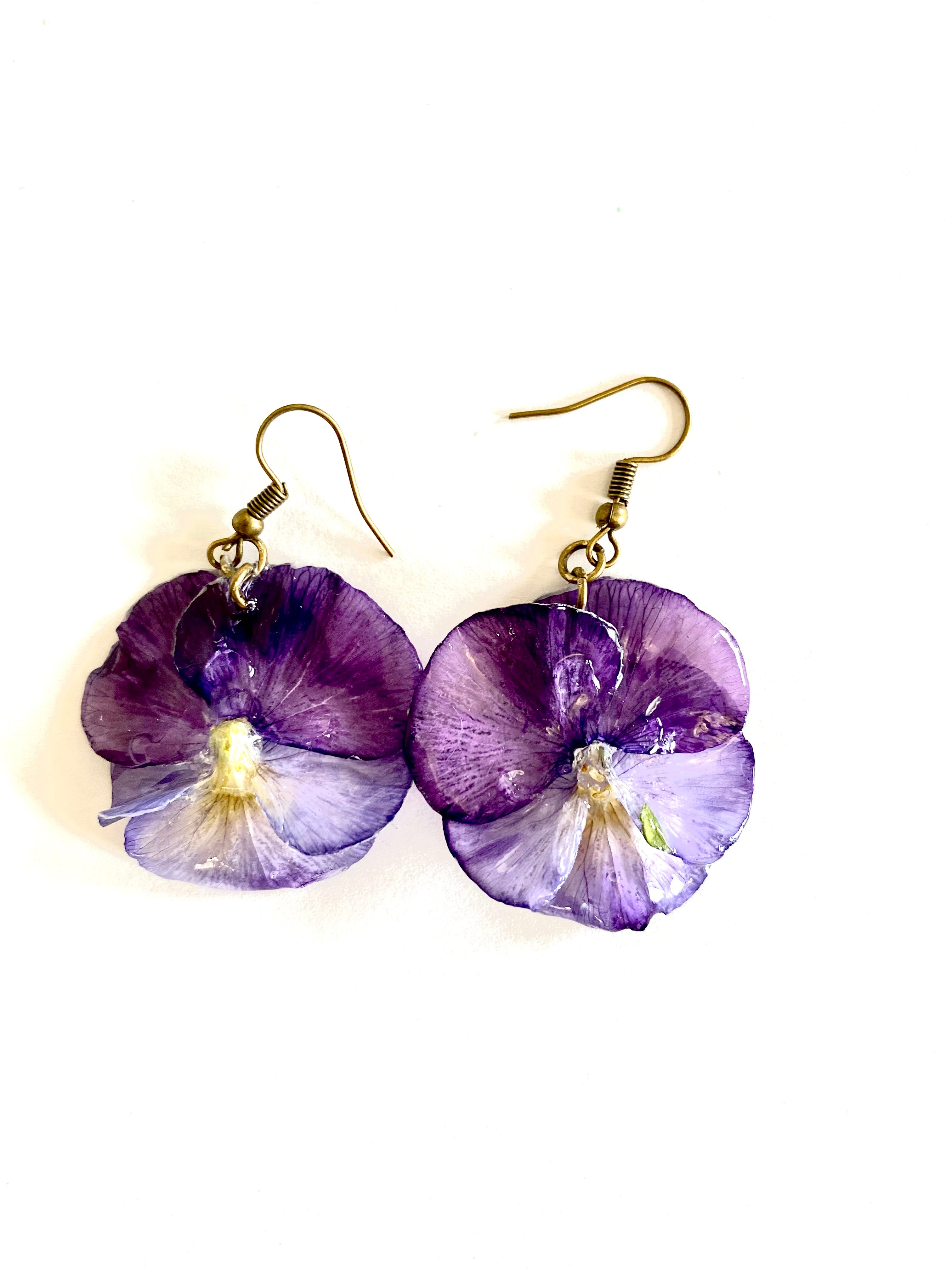 Cercei din panselute (Viola × wittrockiana)