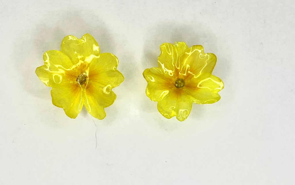 Cercei din primule (Primula vulgaris)