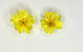 Cercei din primule (Primula vulgaris)