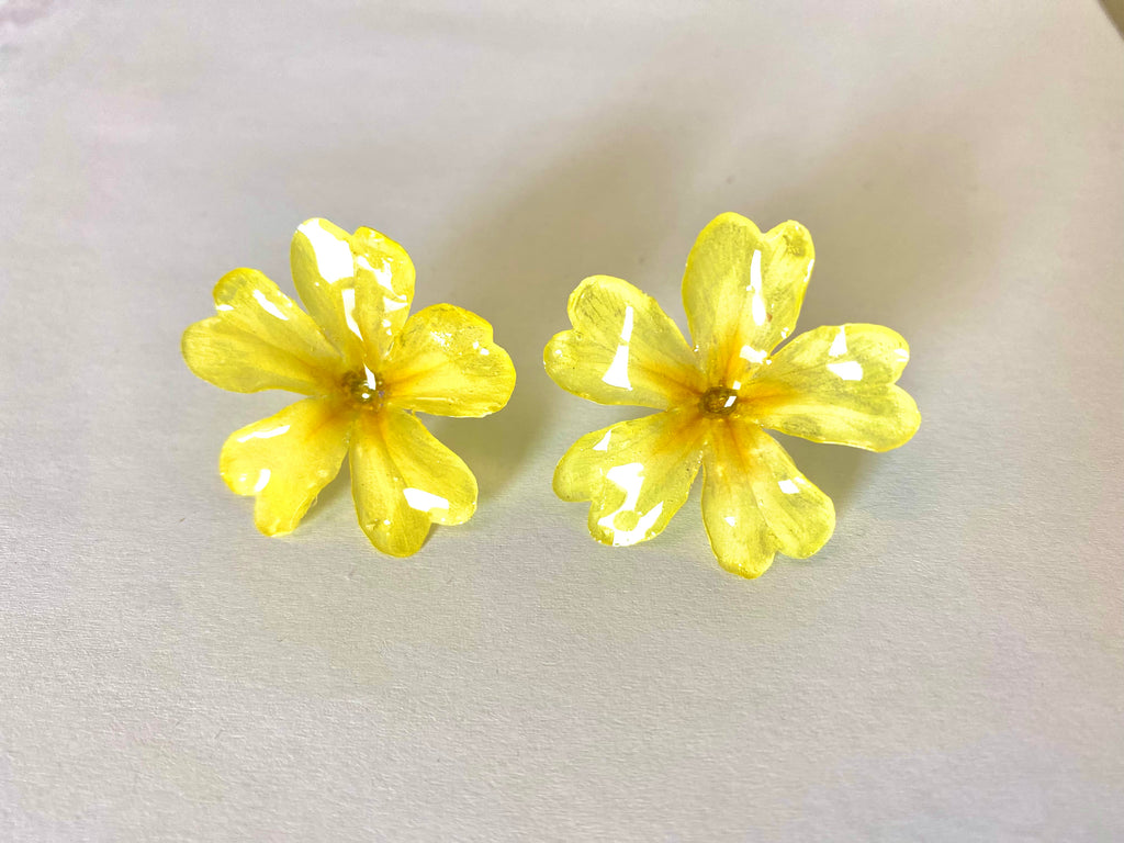 Cercei din primule (Primula vulgaris)