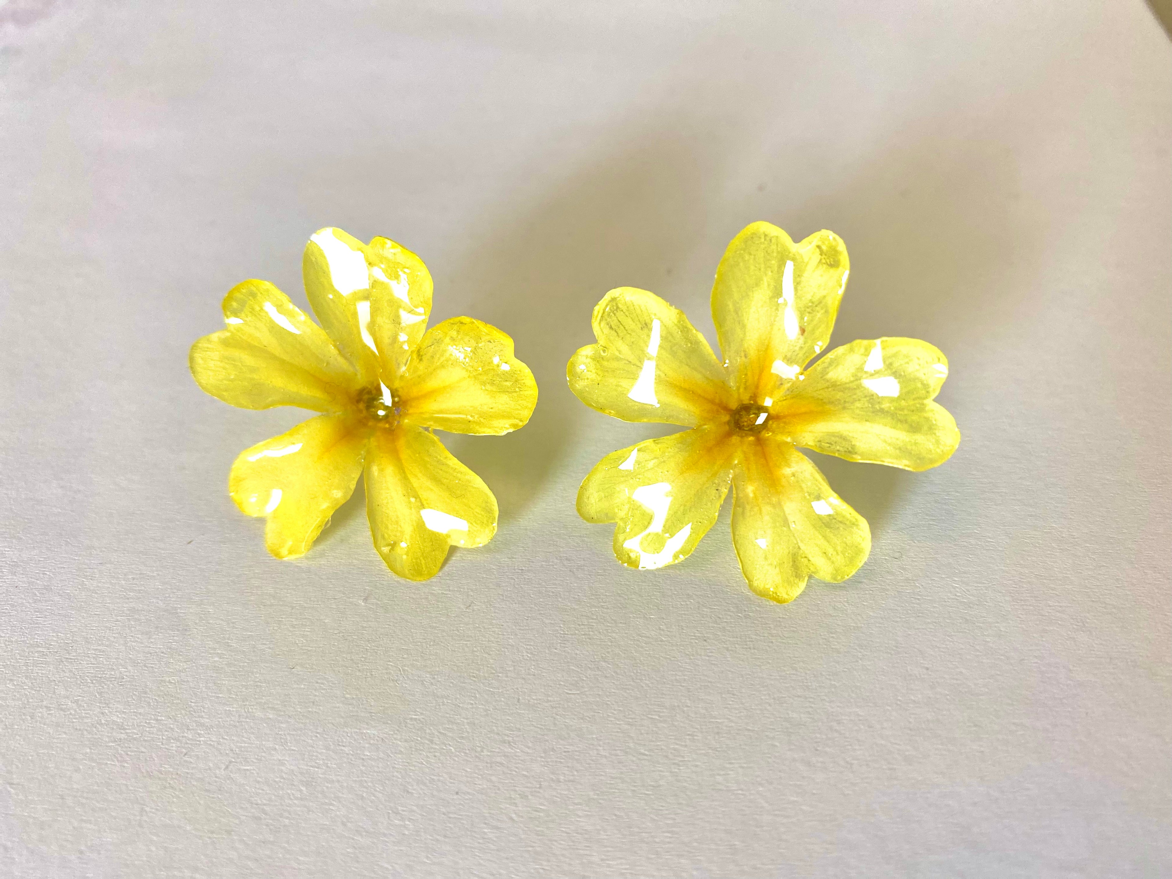 Cercei din primule (Primula vulgaris)