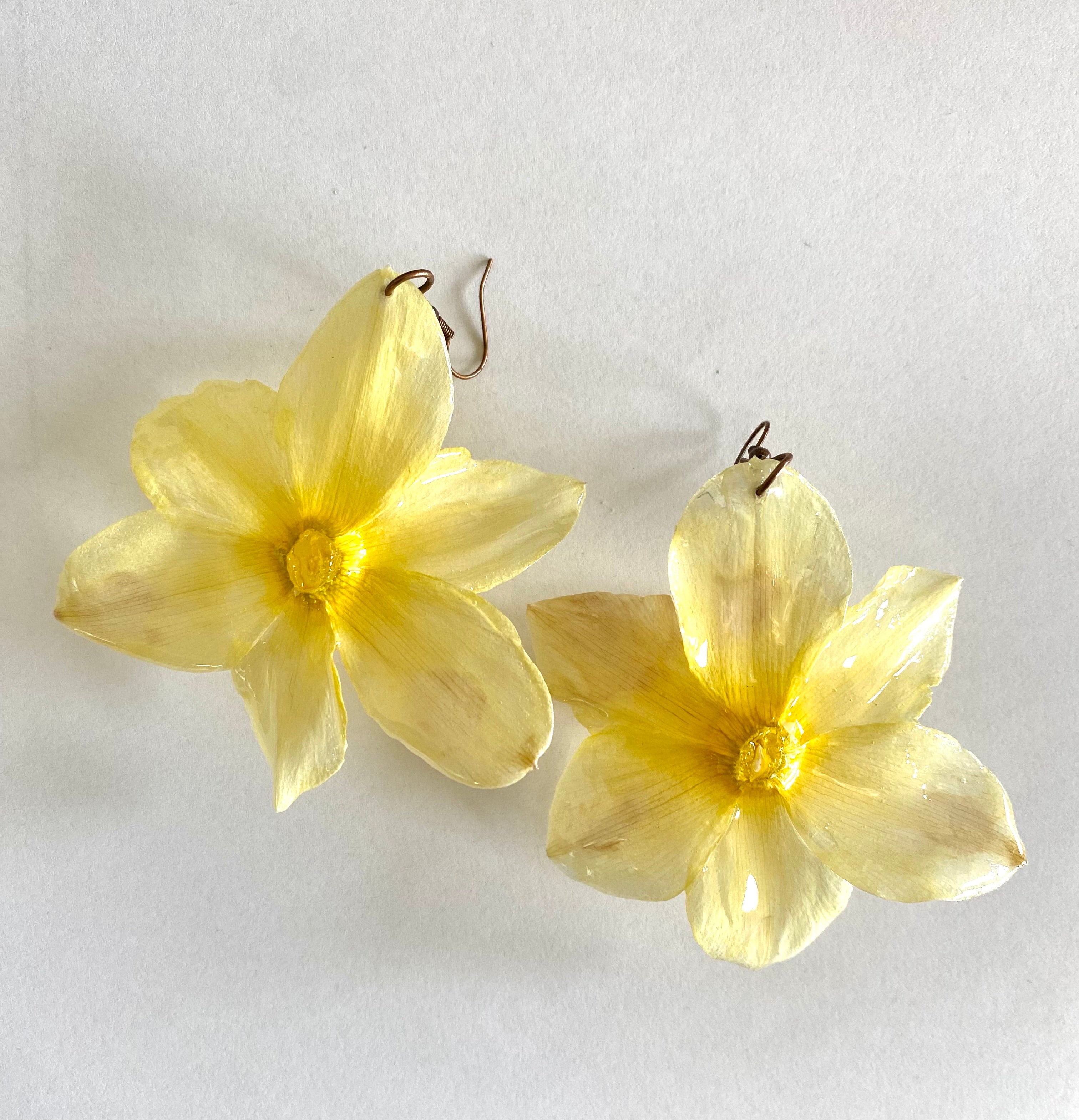 Cercei din narcise (Narcissus pseudonarcissus)