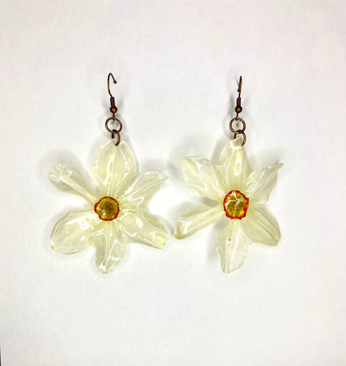 Cercei din narcise (Narcissus 'Actaea')