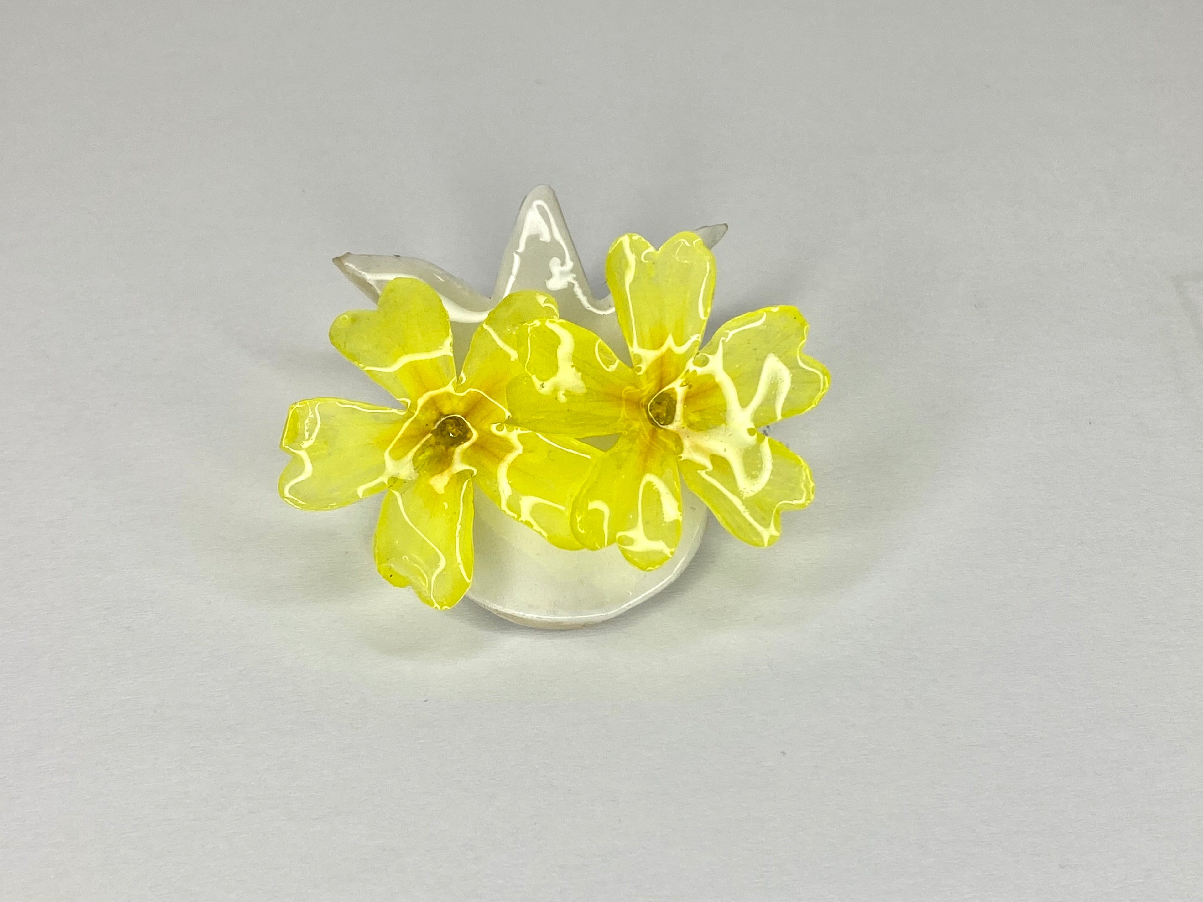 Cercei din primule (Primula vulgaris)