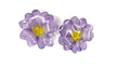 Cercei din primule (Primula vulgaris)