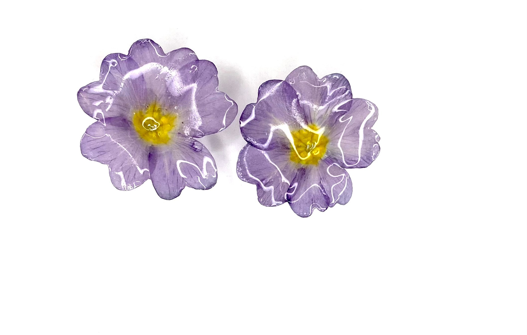 Cercei din primule (Primula vulgaris)