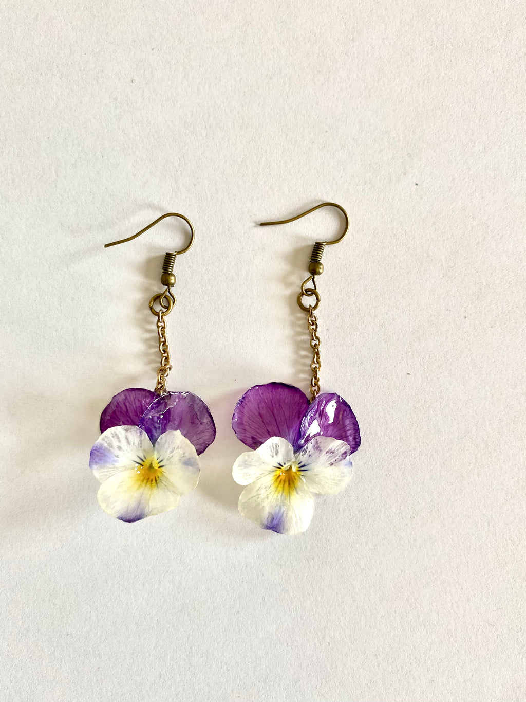 Cercei din panselute (Viola × wittrockiana)