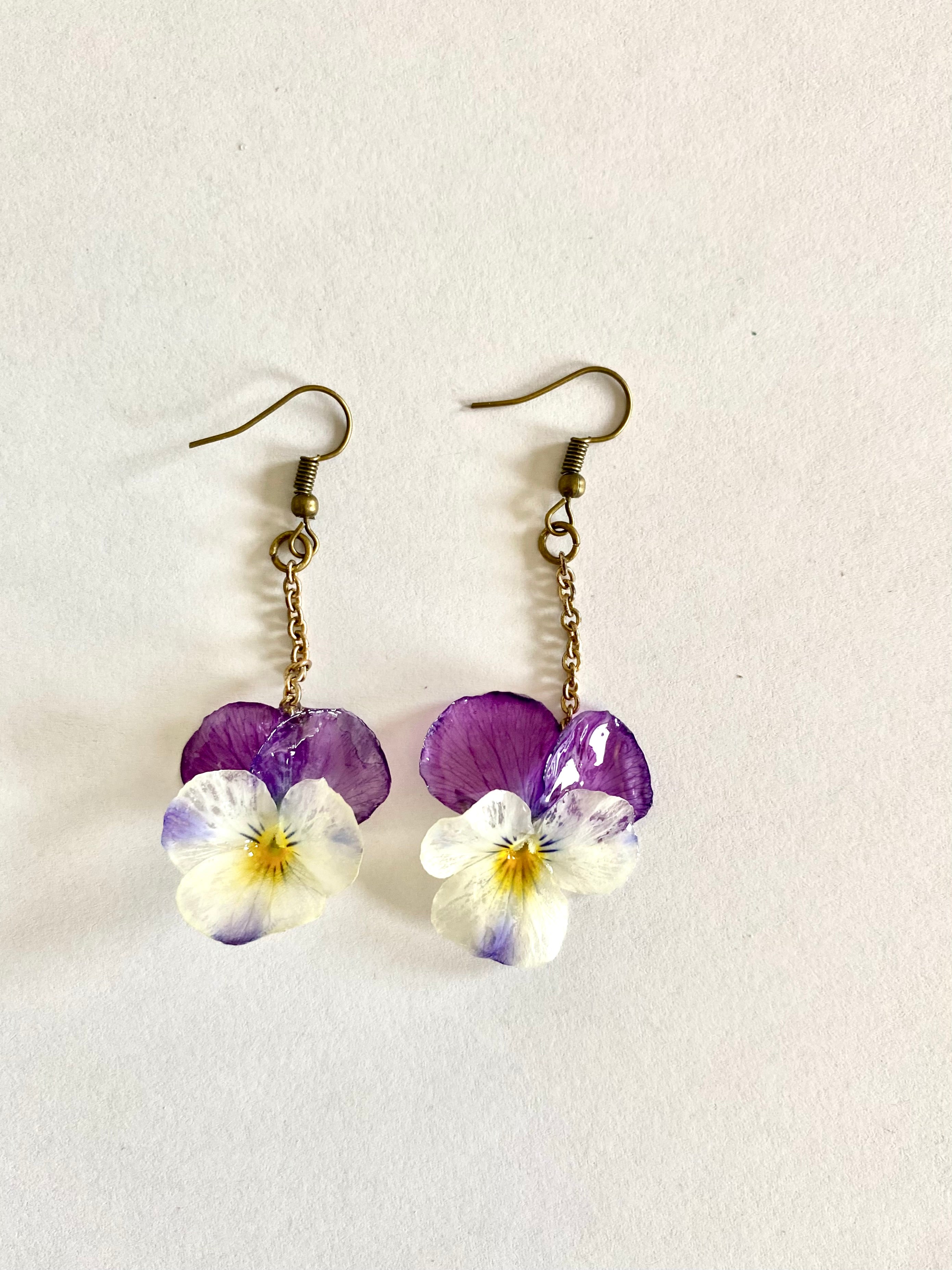 Cercei din panselute (Viola × wittrockiana)