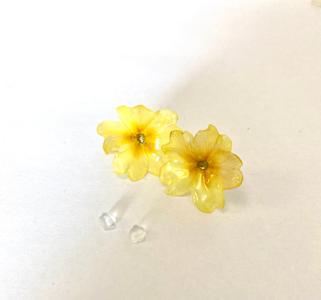 Cercei din primule (Primula vulgaris)