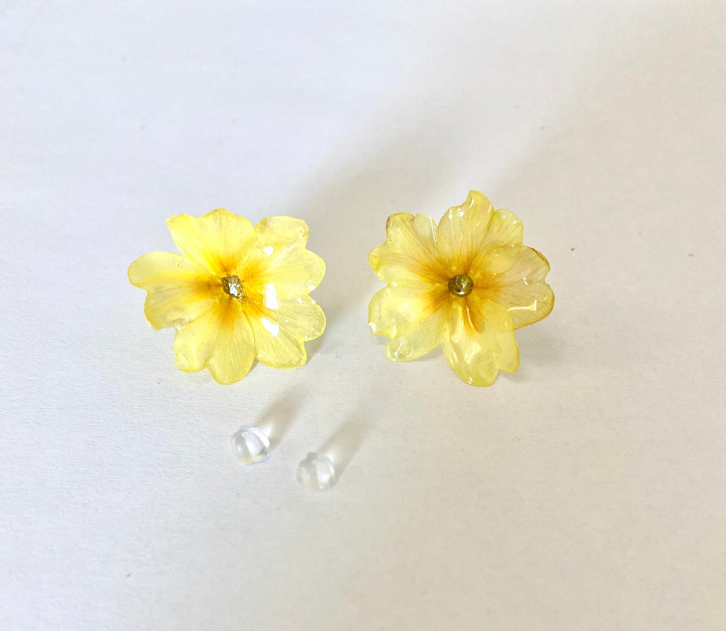 Cercei din primule (Primula vulgaris)