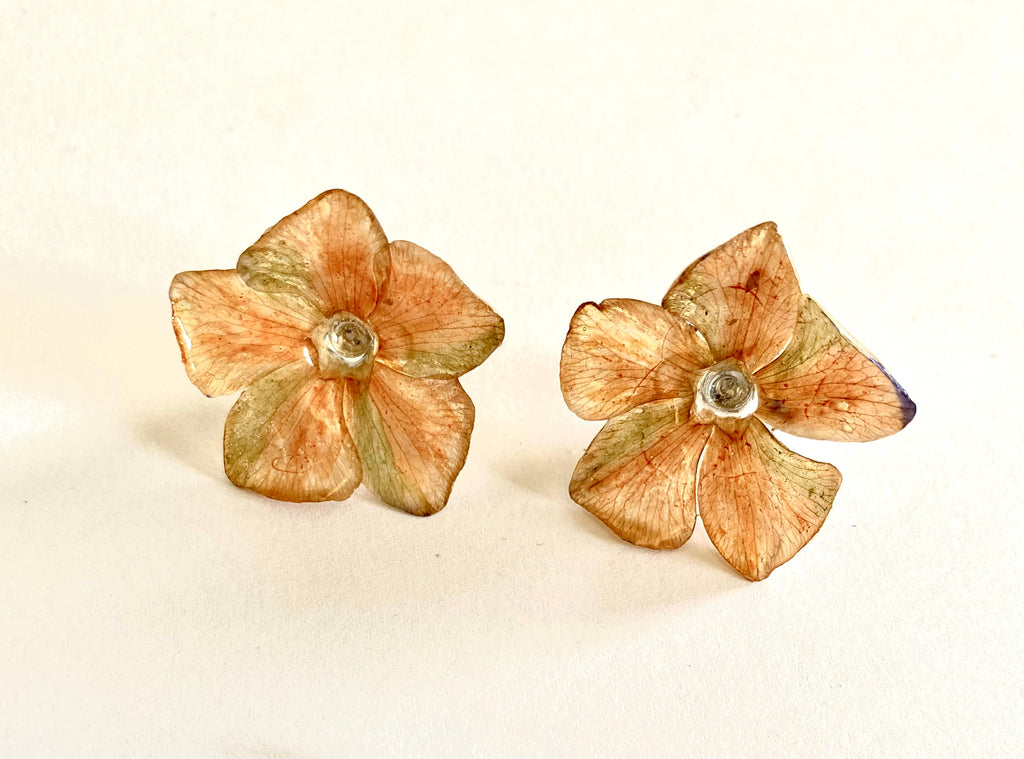 Cercei din saschiu (Vinca minor)