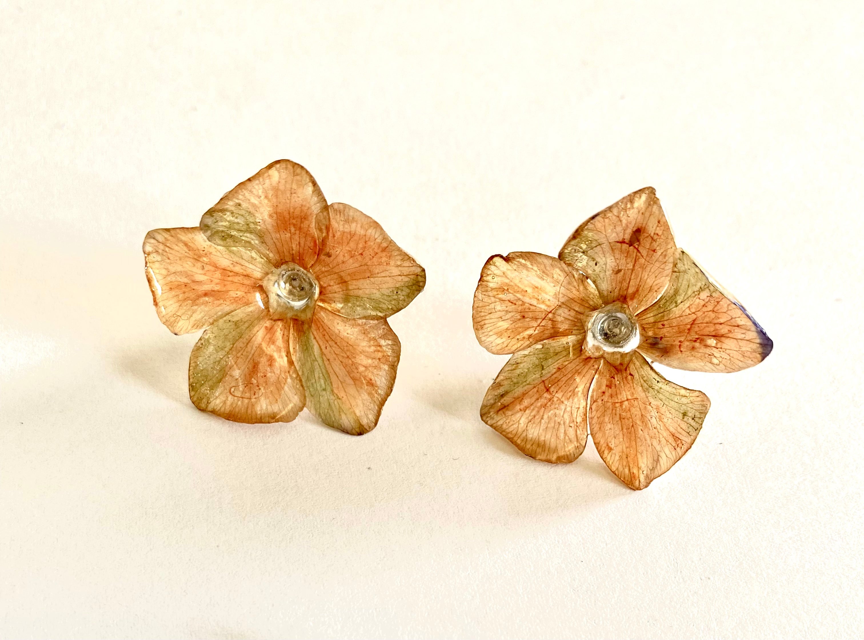 Cercei din saschiu (Vinca minor)