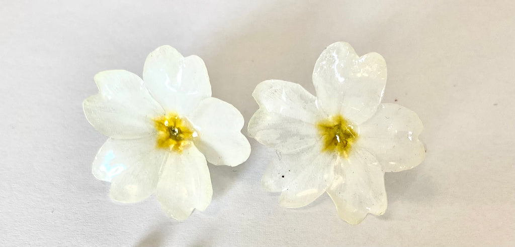 Cercei din primule (Primula vulgaris)