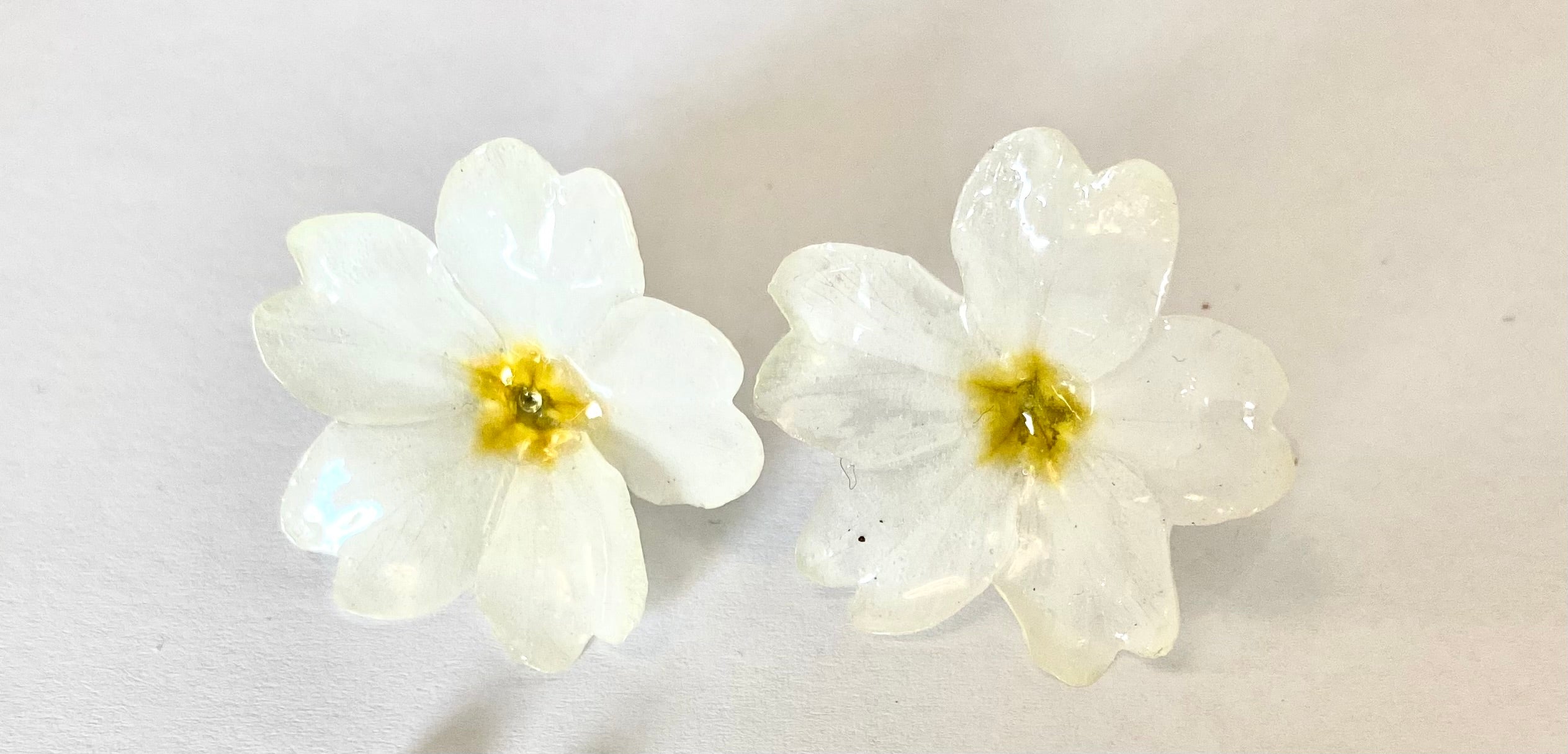 Cercei din primule (Primula vulgaris)