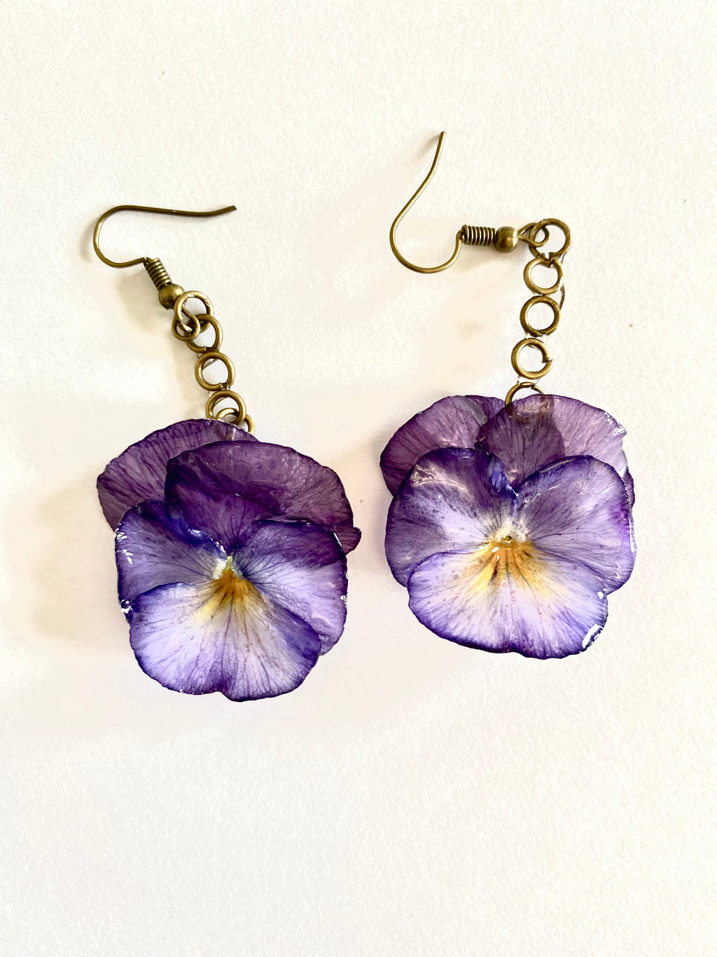 Cercei din panselute (Viola × wittrockiana)
