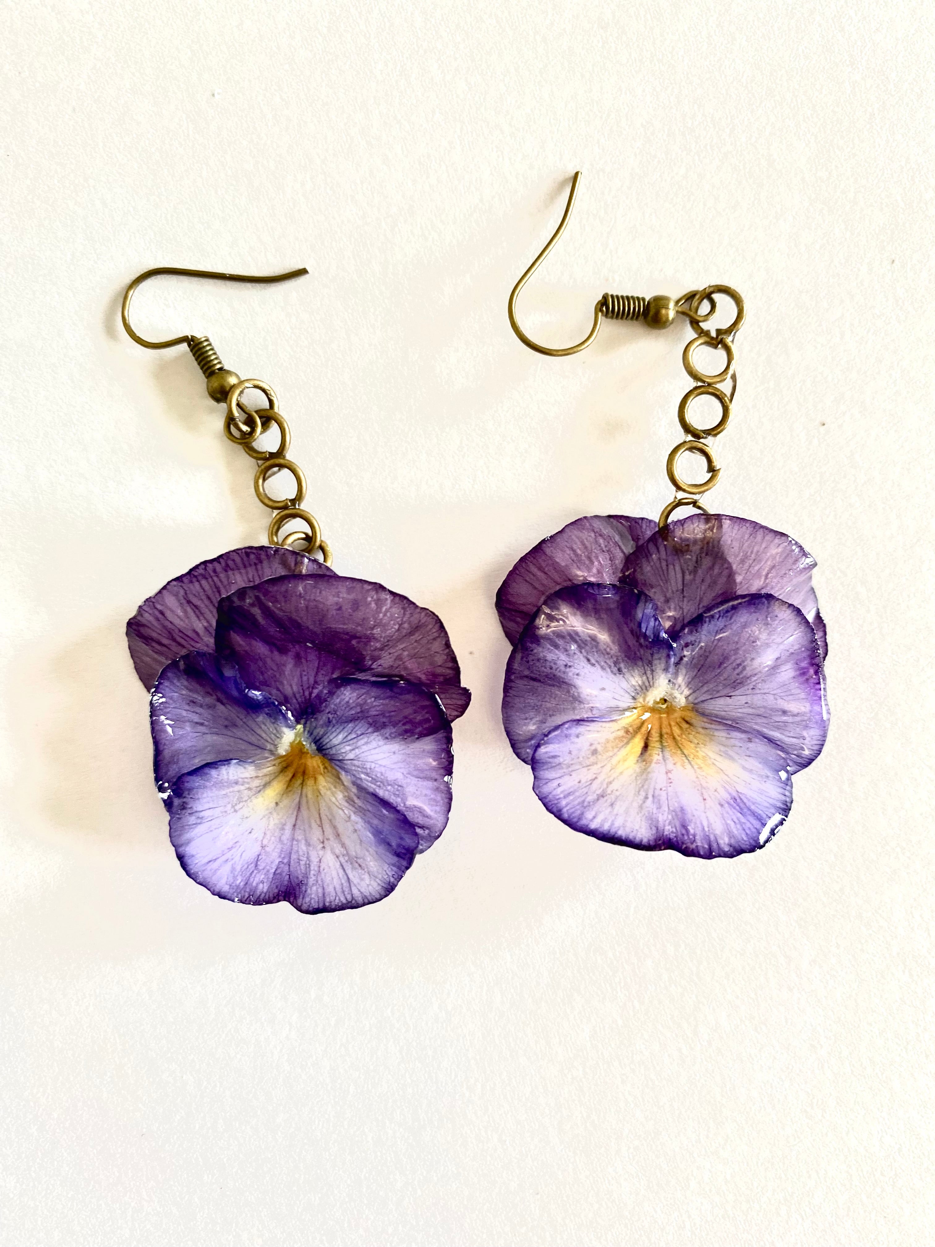 Cercei din panselute (Viola × wittrockiana)