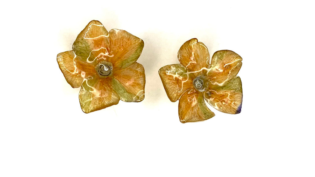 Cercei din saschiu (Vinca minor)