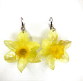 Cercei din narcise (Narcissus pseudonarcissus)