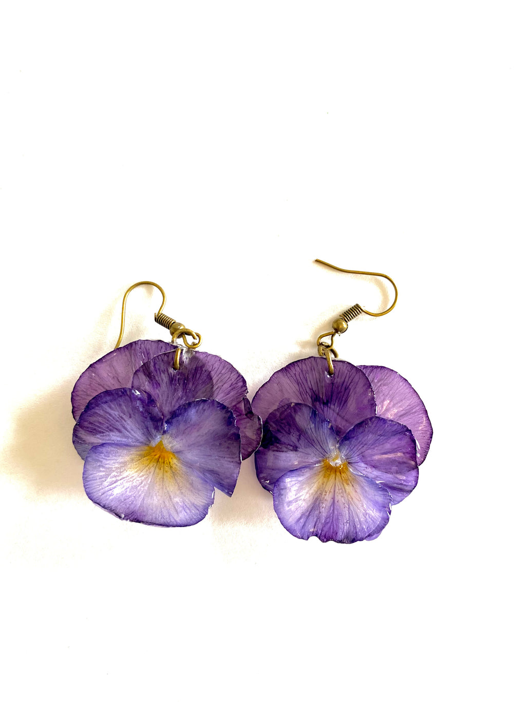 Cercei din panselute (Viola × wittrockiana)