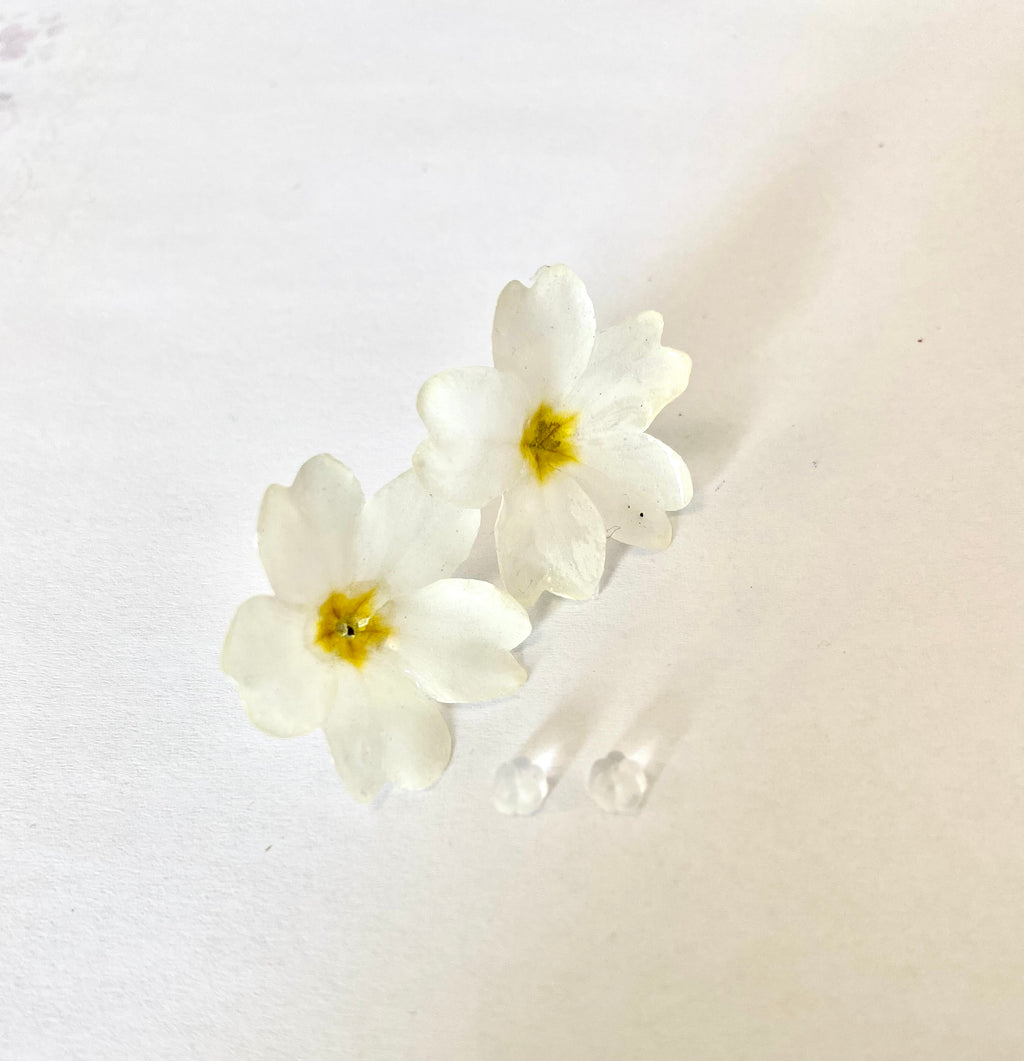 Cercei din primule (Primula vulgaris)