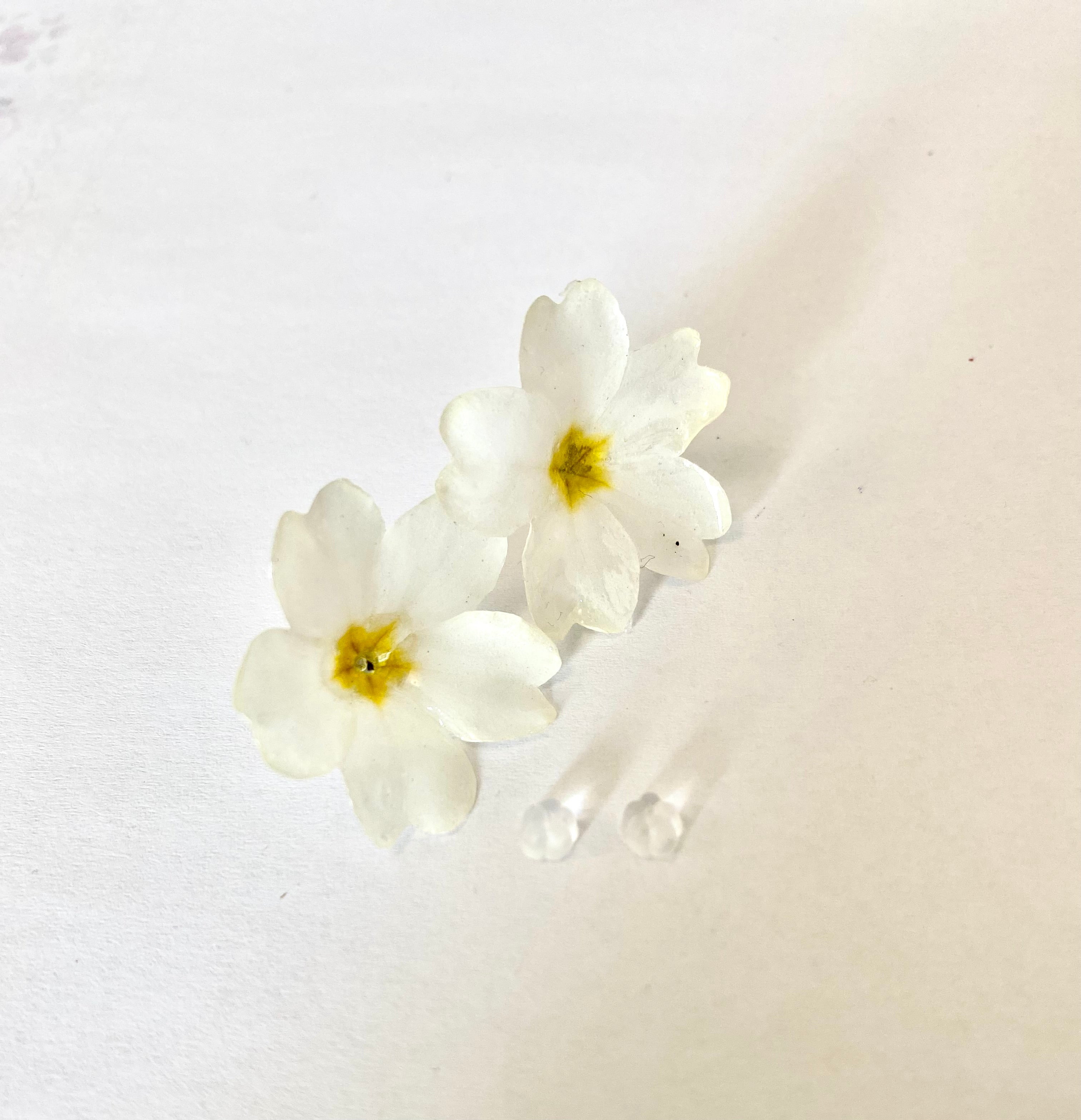 Cercei din primule (Primula vulgaris)