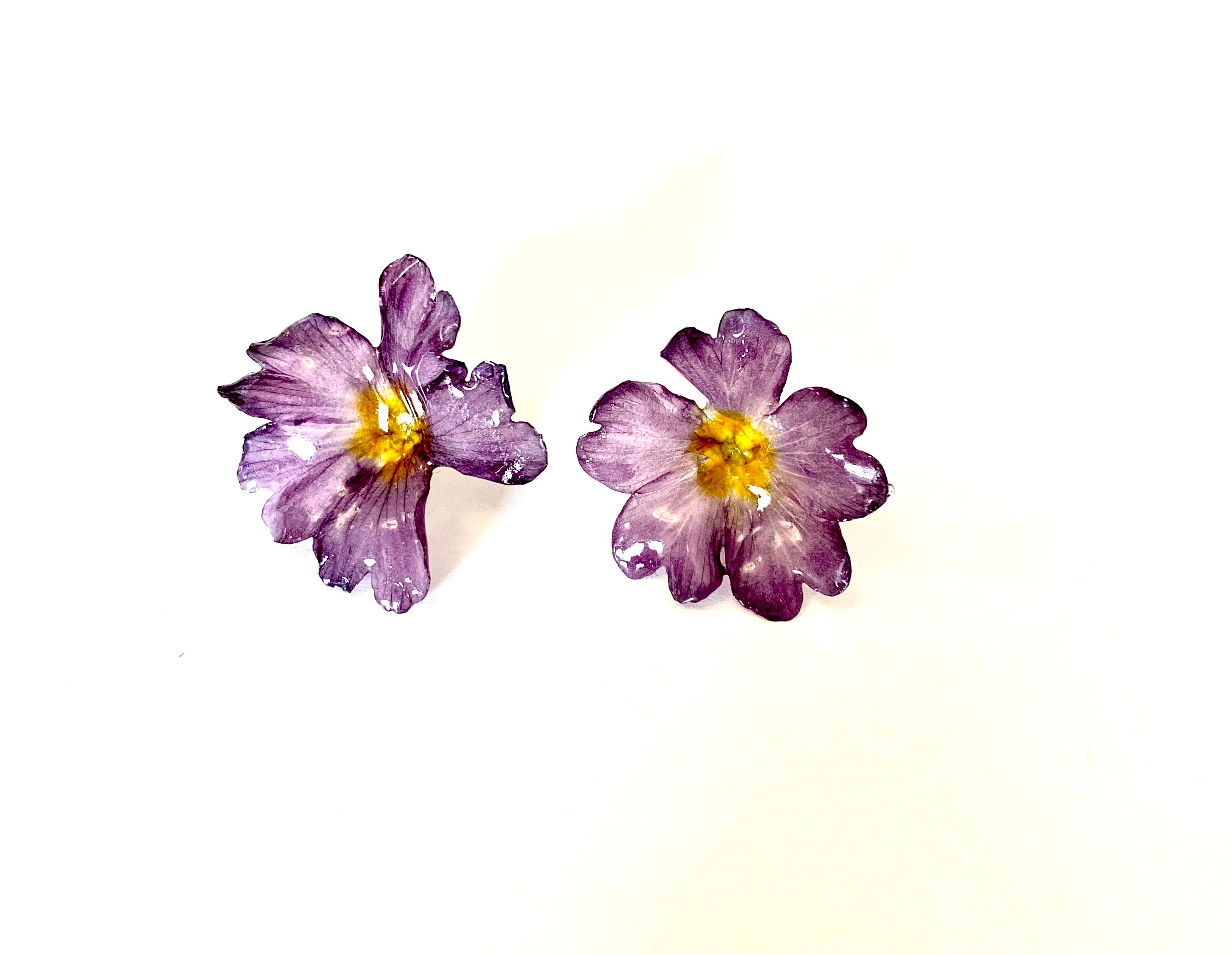 Cercei din primule (Primula vulgaris)
