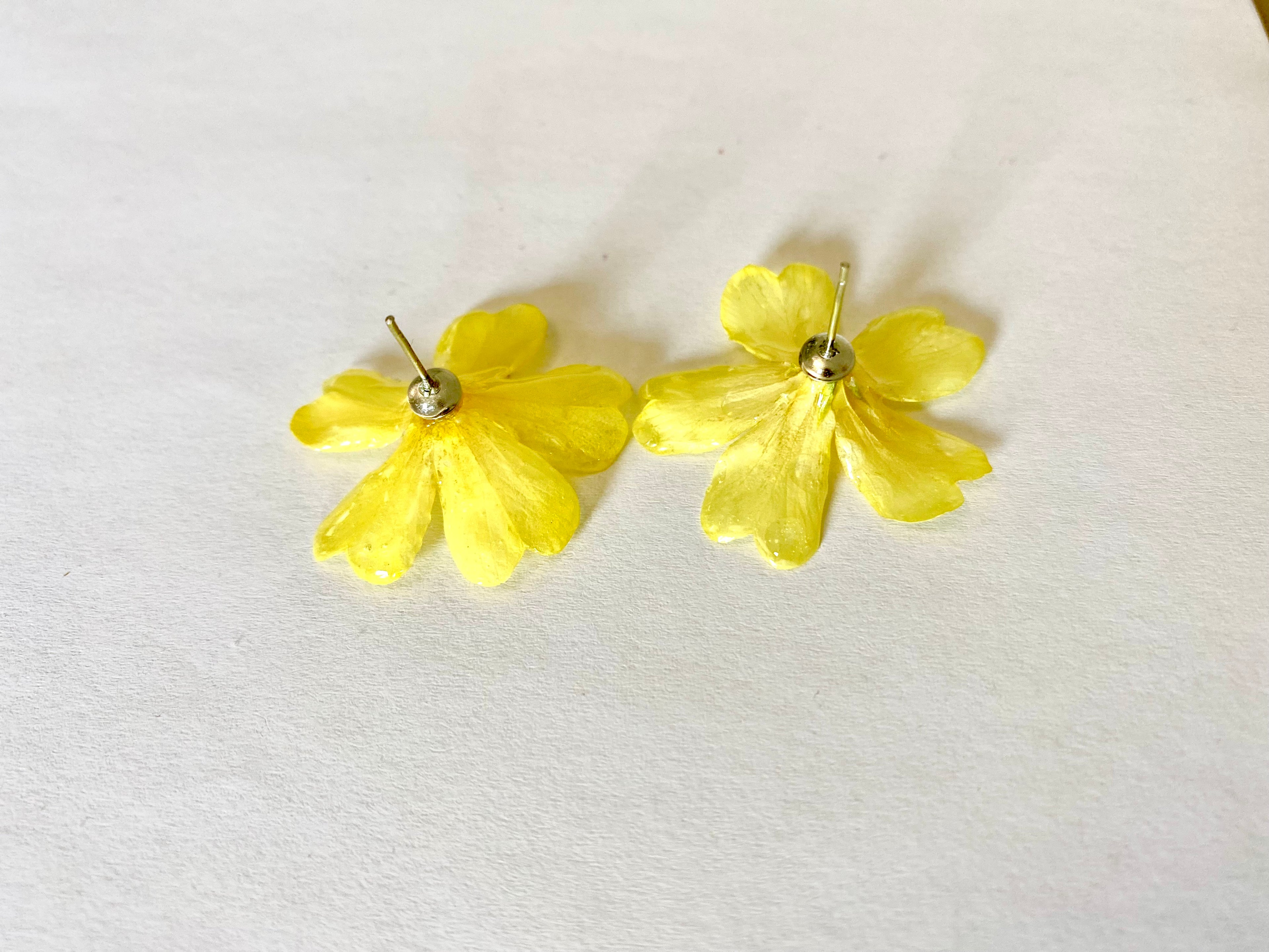Cercei din primule (Primula vulgaris)