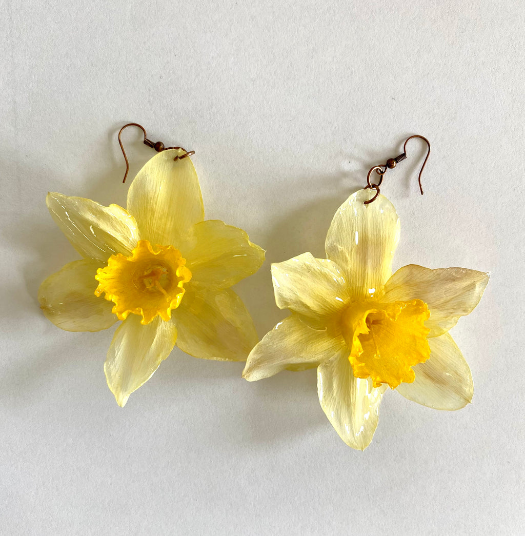 Cercei din narcise (Narcissus pseudonarcissus)