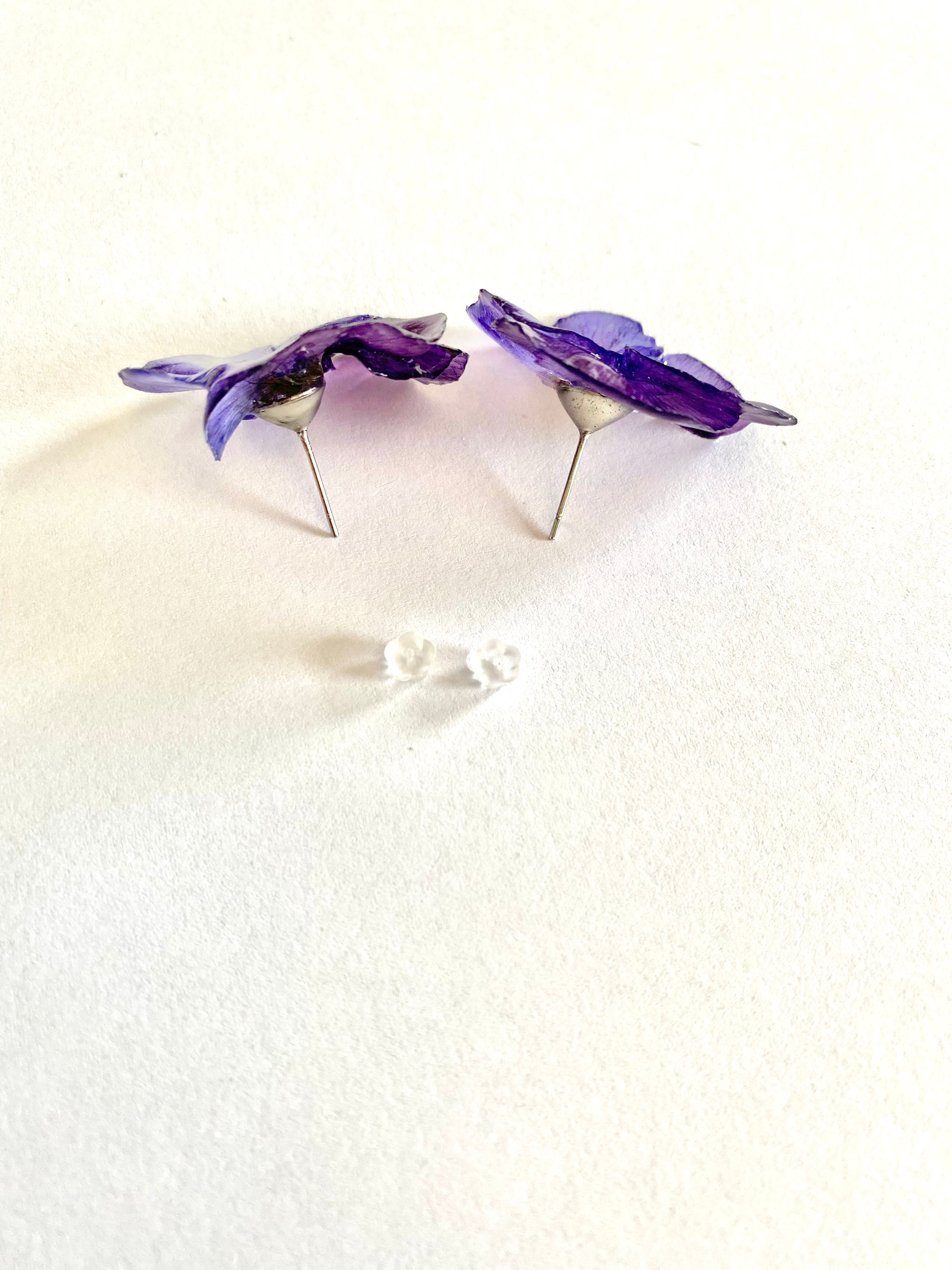 Cercei din panselute (Viola × wittrockiana)