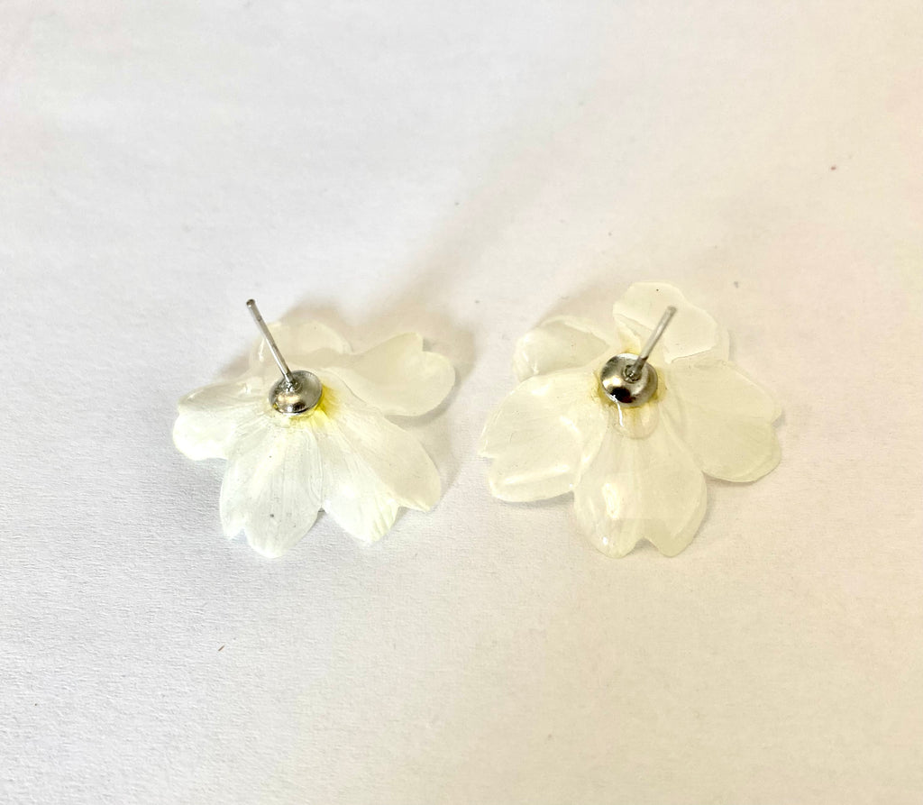 Cercei din primule (Primula vulgaris)